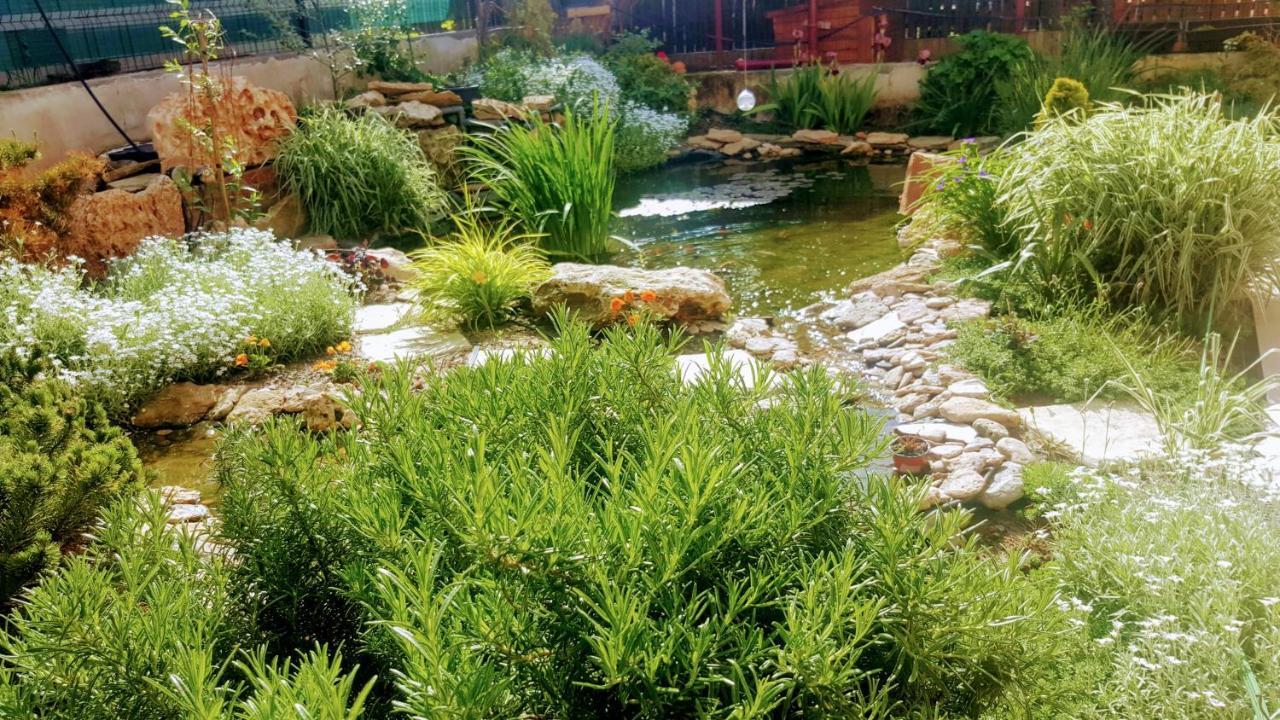 Villa Sanitas تيشيرغيول المظهر الخارجي الصورة