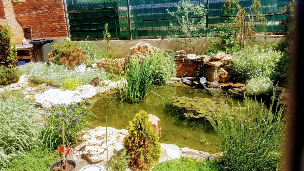 Villa Sanitas تيشيرغيول المظهر الخارجي الصورة