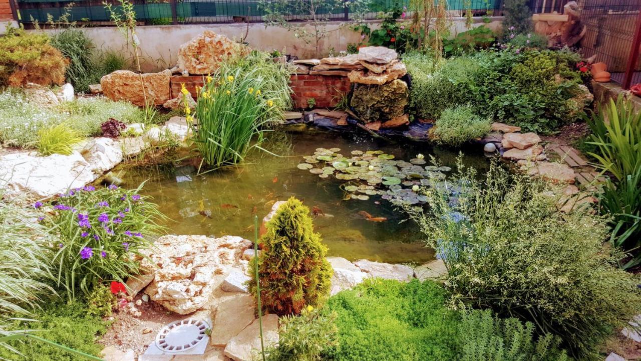 Villa Sanitas تيشيرغيول المظهر الخارجي الصورة
